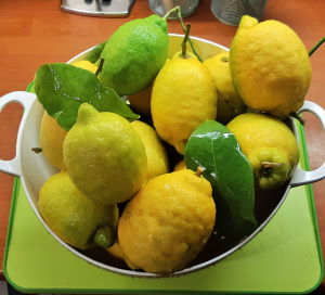 Citrons jaunes de Sorrente